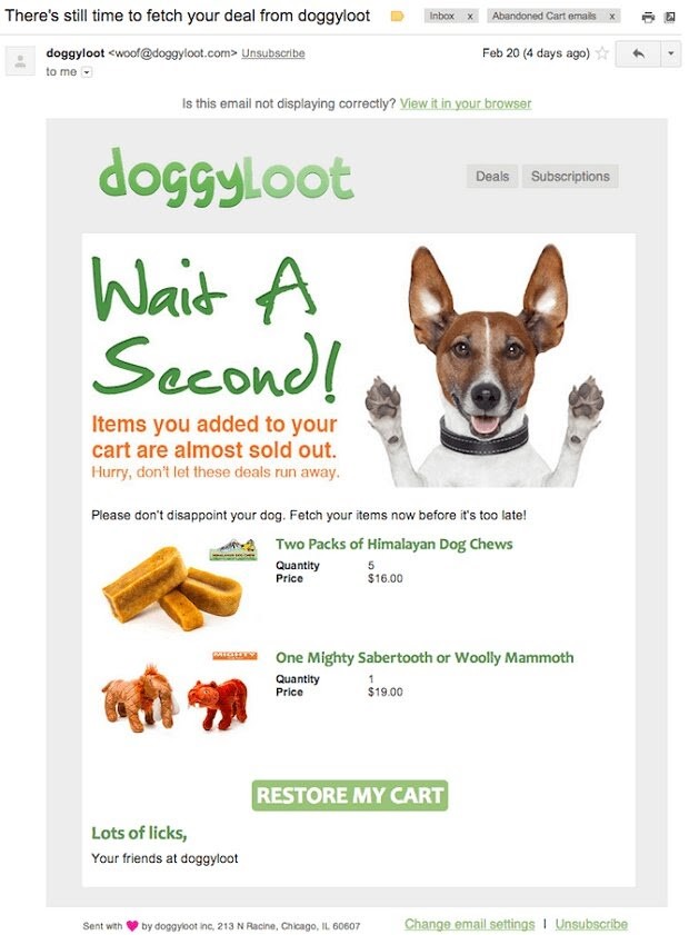 E-mail Doggyloot dotyczący porzuconego koszyka