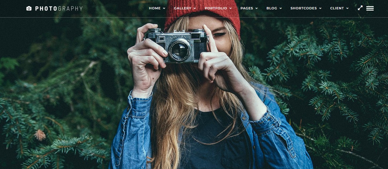 cele mai bune teme wordpress pentru întreprinderile mici