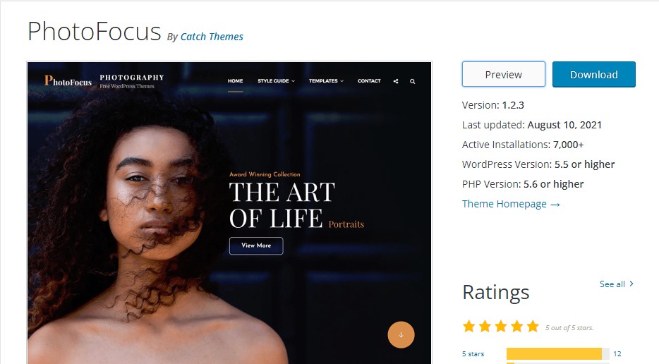 cele mai bune teme wordpress pentru întreprinderile mici