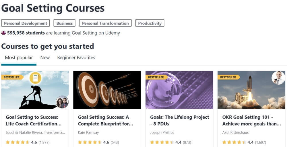 목표 설정을 위한 Udemy 틈새 사례