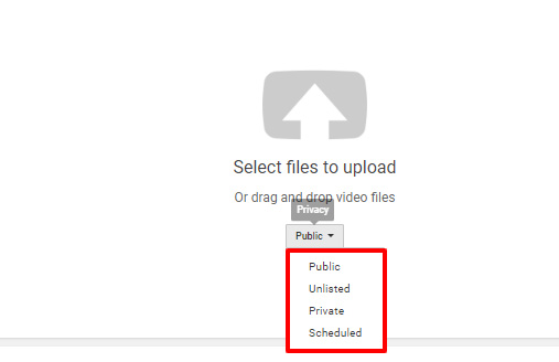 Opțiuni de vizibilitate video