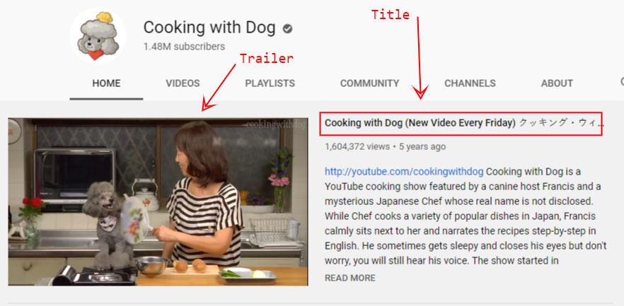 Zwiastun YouTube