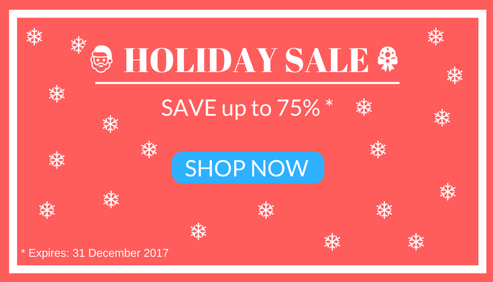 Holiday Sale