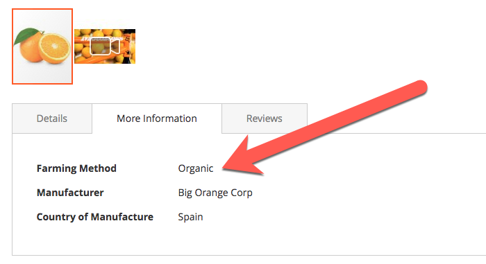 visualizando novos atributos magento