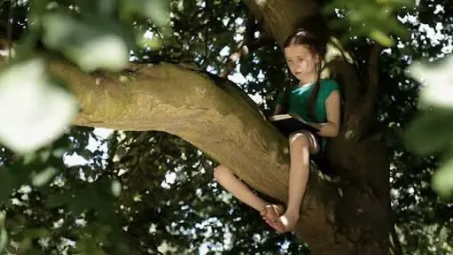 niña leyendo un libro sentado en un árbol