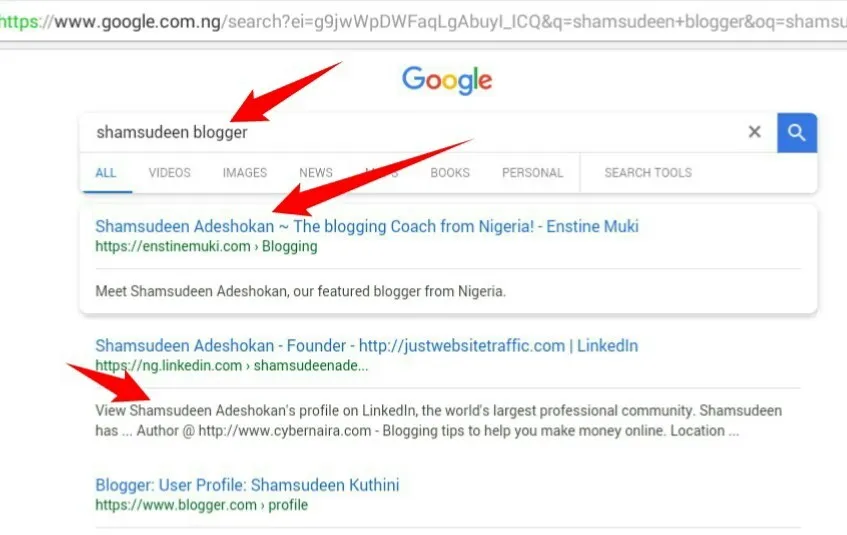 查询“Shamsudeen blogger”的 Google 搜索结果
