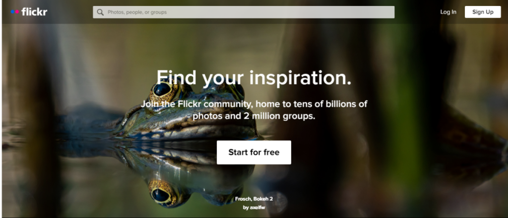 Beranda Flickr.com