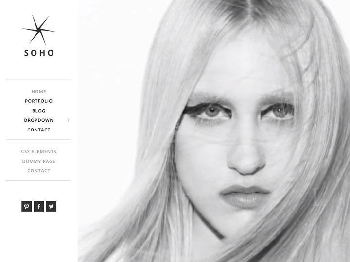 Thèmes WordPress Soho-Top pour les entreprises et les entrepreneurs