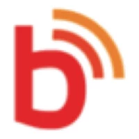 Buzzinga Digital-Top SEO Agency din Mumbai