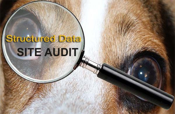 auditer et examiner les données structurées du site Web