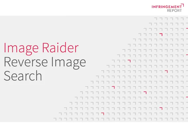 ImageRaider VS TinEye VS Google: مقارنة أدوات البحث عن الصور العكسية