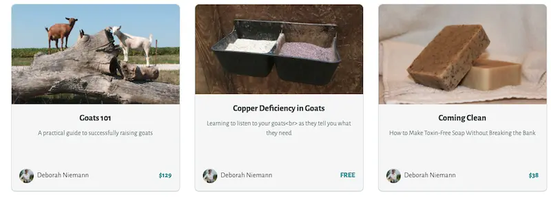 como ganar dinero con un blog 11