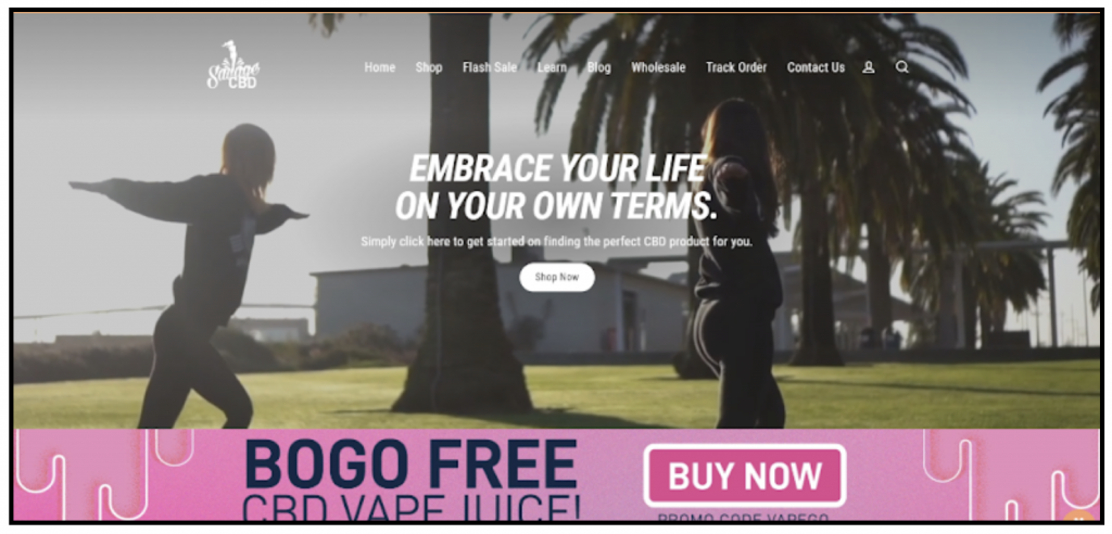 mejores programas de afiliados para principiantes