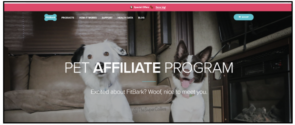 mejores programas de afiliados para blog de mascotas