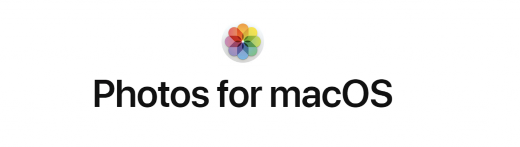 Beste foto organisieren software