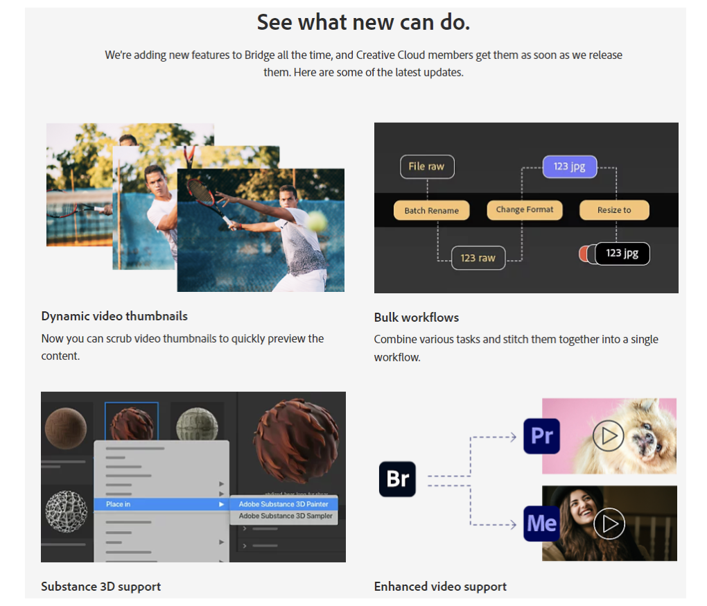 Werkzeug zum Organisieren von Fotos