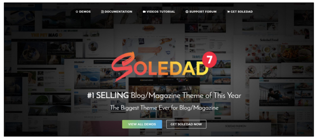 das beste WordPress-Theme zum Bloggen