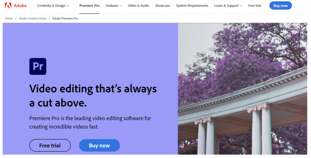 Adobe программное обеспечение