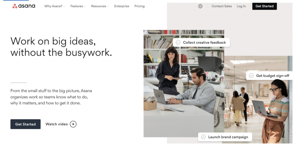 Asana-Software