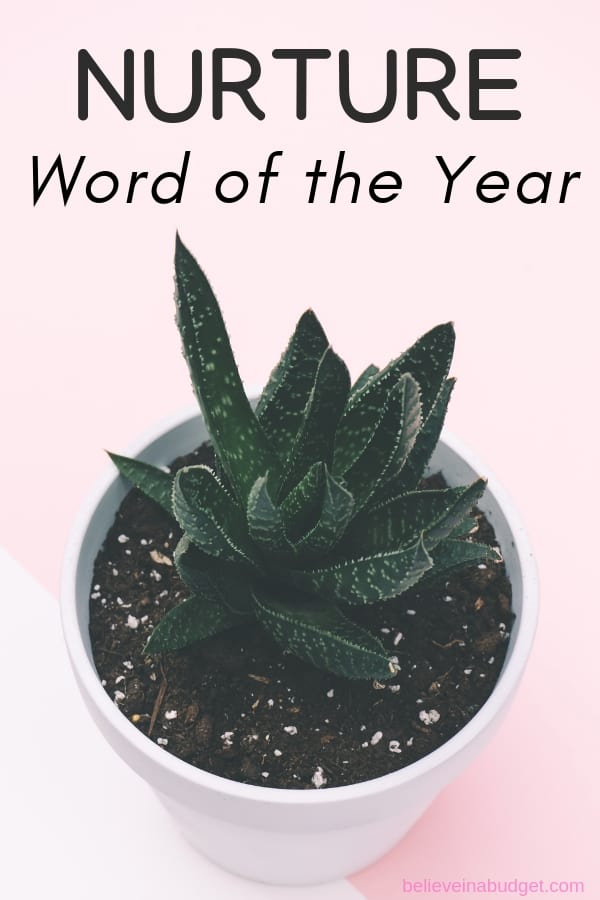 Mein Wort des Jahres ist Pflege für mein Geschäft und mein Privatleben. Deshalb ist dieses Wort perfekt für mich!