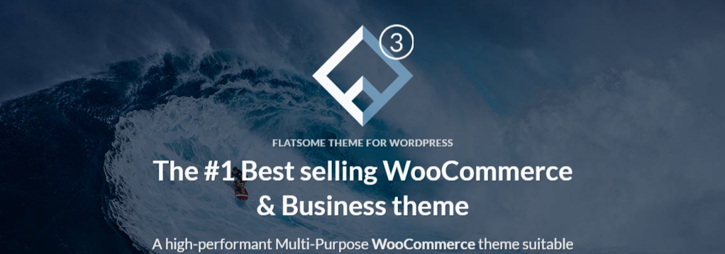 En iyi duyarlı wordpress temaları