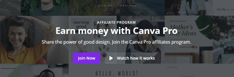 Canva-Profi