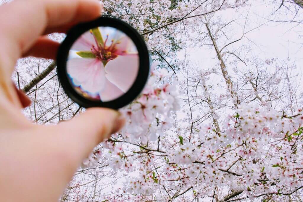重点