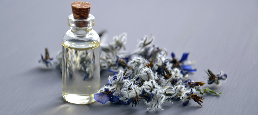 Fragrância