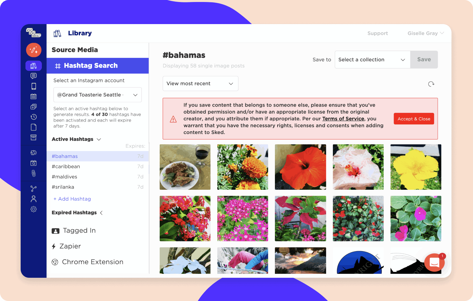Función de búsqueda de hashtag de Sked Social que muestra un ejemplo de búsqueda de hashtag de flores
