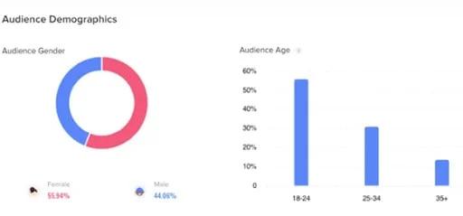 Ecran de defalcare demografică TikTok
