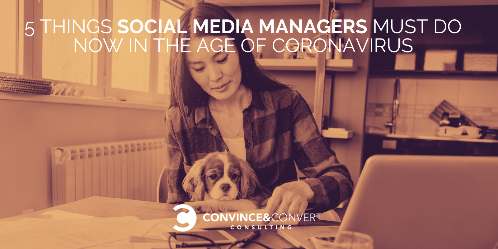 Gerente de Mídias Sociais - Coronavírus