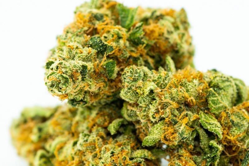 seo-for-marijuana-businesses
