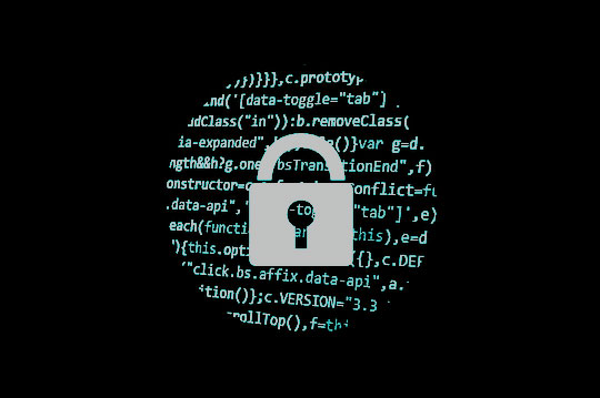Mascheramento dei dati - sicurezza-sicurezza-criminalità informatica