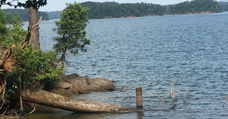 Kepulauan Danau Lanier
