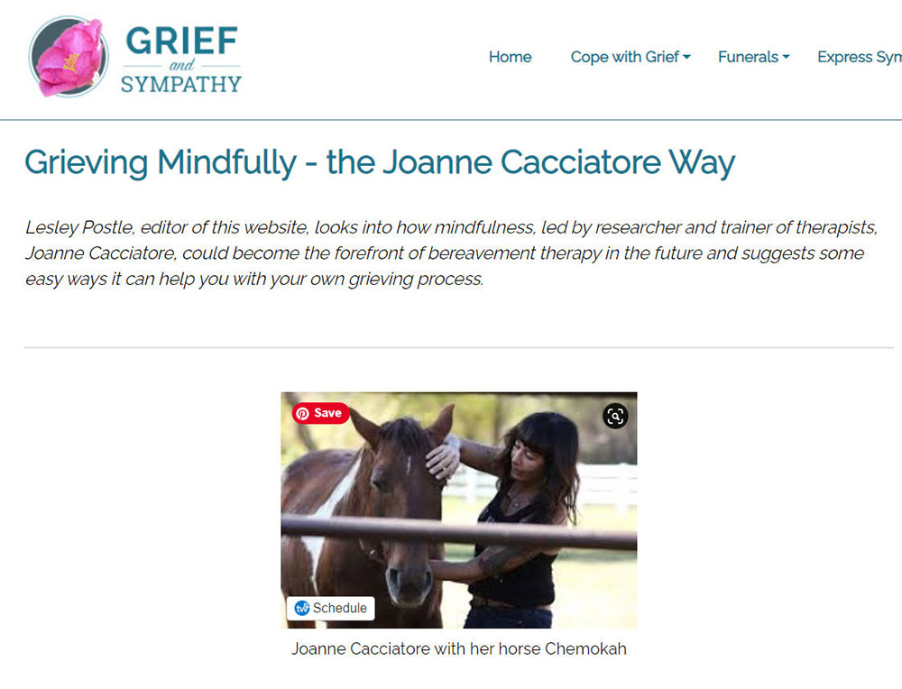 مثال على ملف تعريف الويب