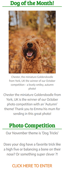 انقر هنا مثال CTA