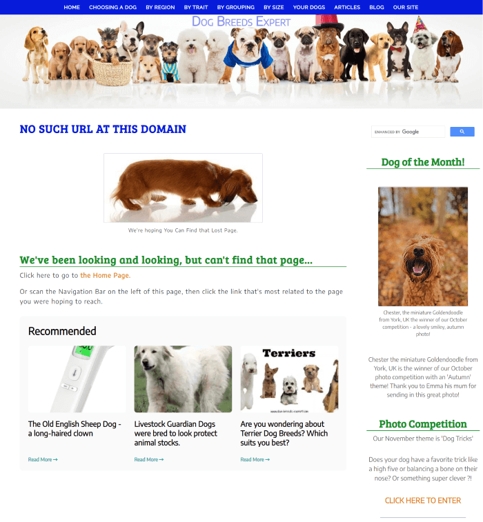 404 Contoh CTA Halaman Kesalahan