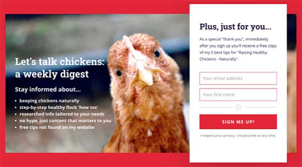 Strona docelowa rejestracji e-mail