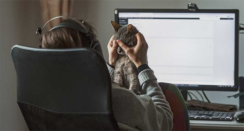 Kobieta głaszcząca brwi kota