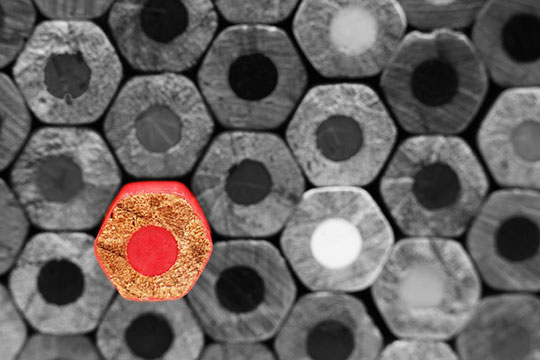 ニッチハイライトフォーカスが目立つ