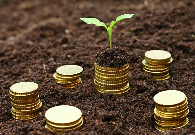 Les sites d'affiliation de micro-niche fonctionnent-ils toujours ?