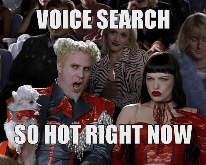 căutare vocală