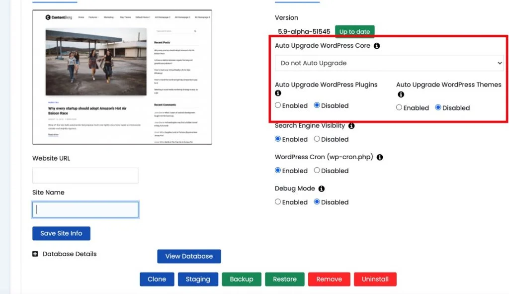 activați actualizarea automată pentru wordpress