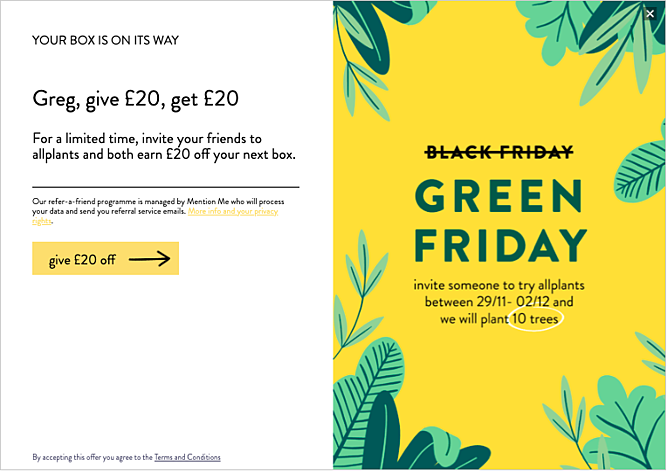 โปรแกรมอ้างอิง allplants Black Friday