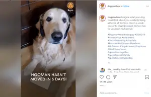 Facebook 和 Instagram 上的视频营销