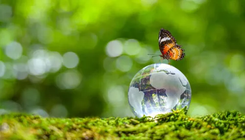 全球覺醒 |大亨故事媒體 Global Awakening Real Estate