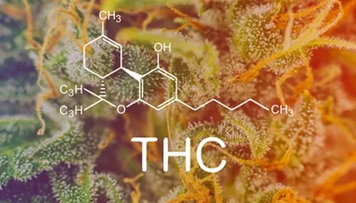 Tetrahydrocannabinol