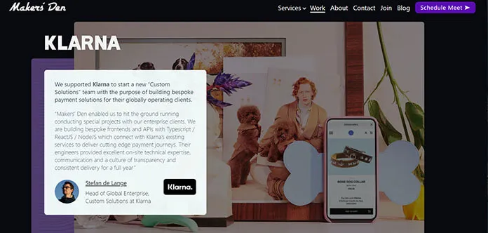 Den twórców Makers’ Den Healthcare Software Development Companies