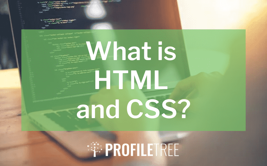 ما هي الصورة المميزة html و css