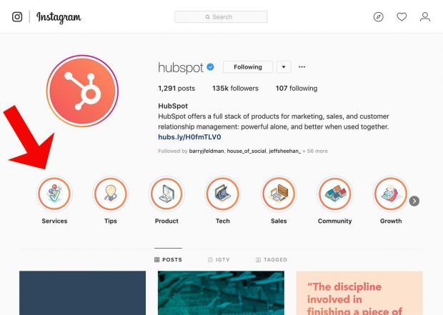 Instagram 个人资料示例，显示帐户保存的故事